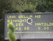 Bianchi Una Bella CsioArJYR SS8 3465 : Bianchi Matilde, CSIO Giovani Arezzo, Una Bella HS, foto Stefano Secchi ©